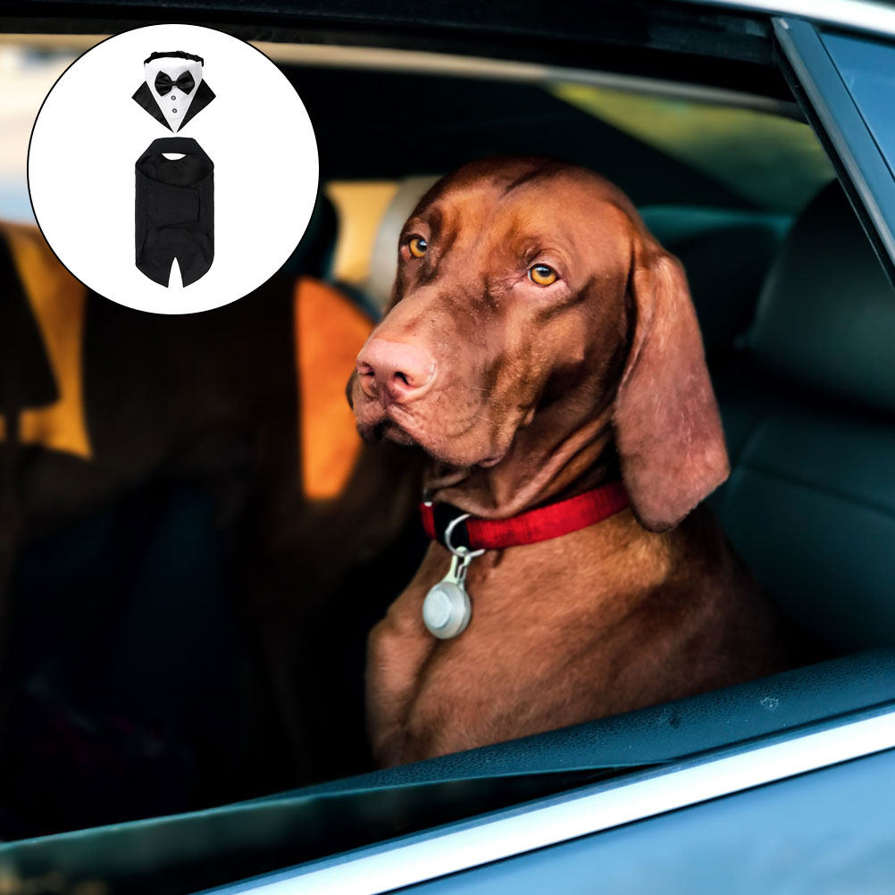Suitsupply Wedding Tuxedo - 1Set Dog Suit and Bandana Dog