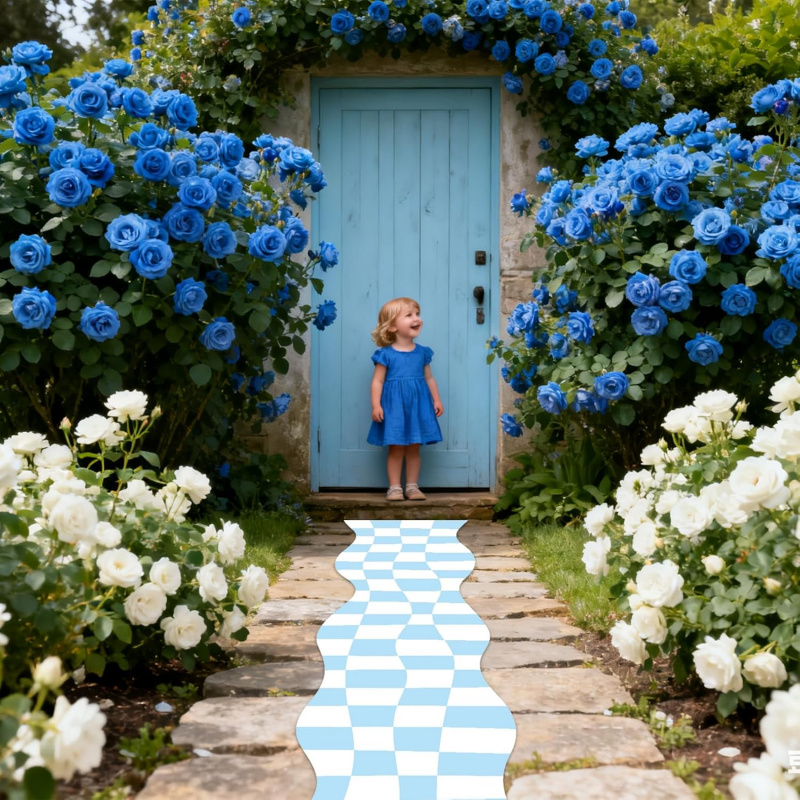VIKAMA Checkerboard Runner Rug - огляд і ціна Wedding Tap